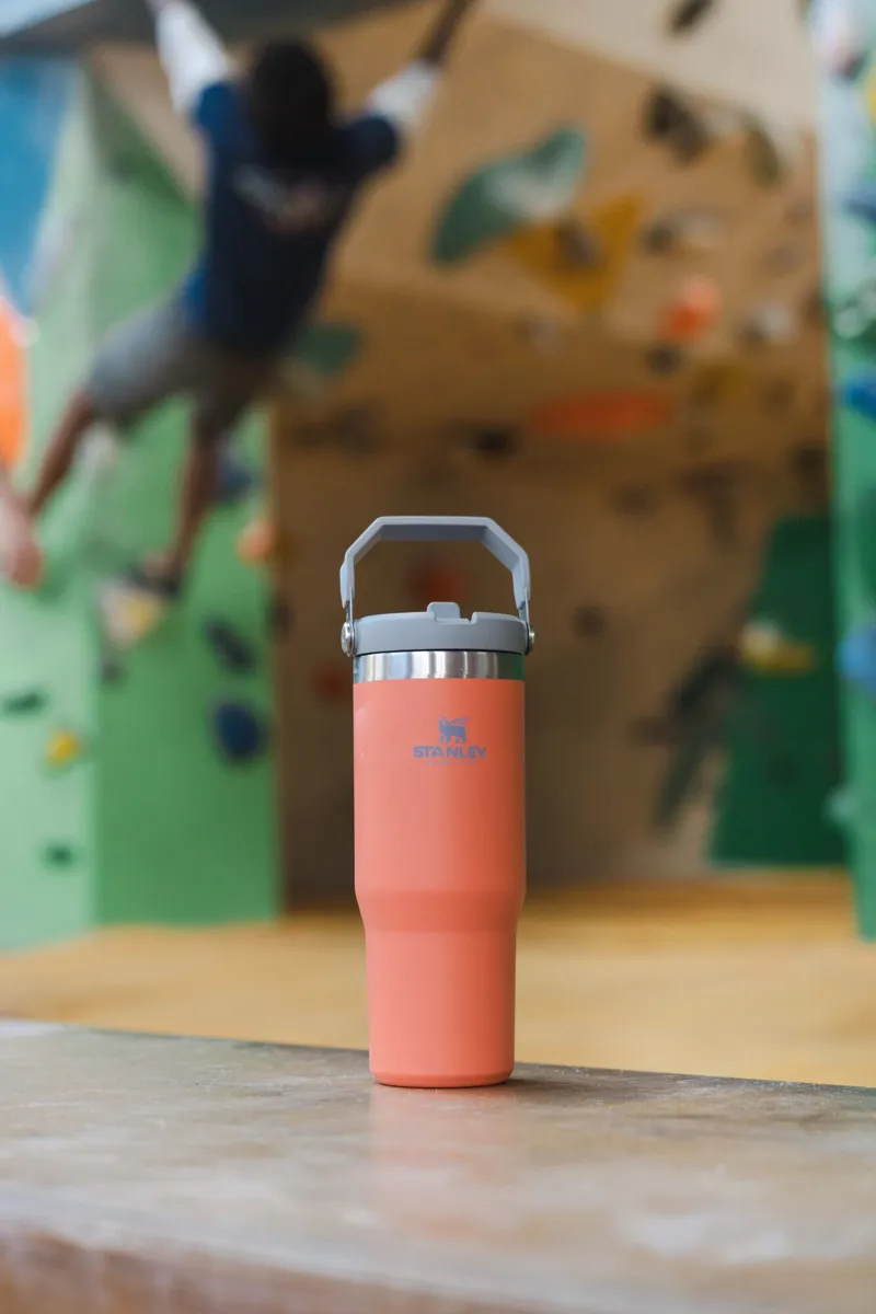 Stanley Classic Iceflow Flip Straw Tumbler 0.89L Guava-1